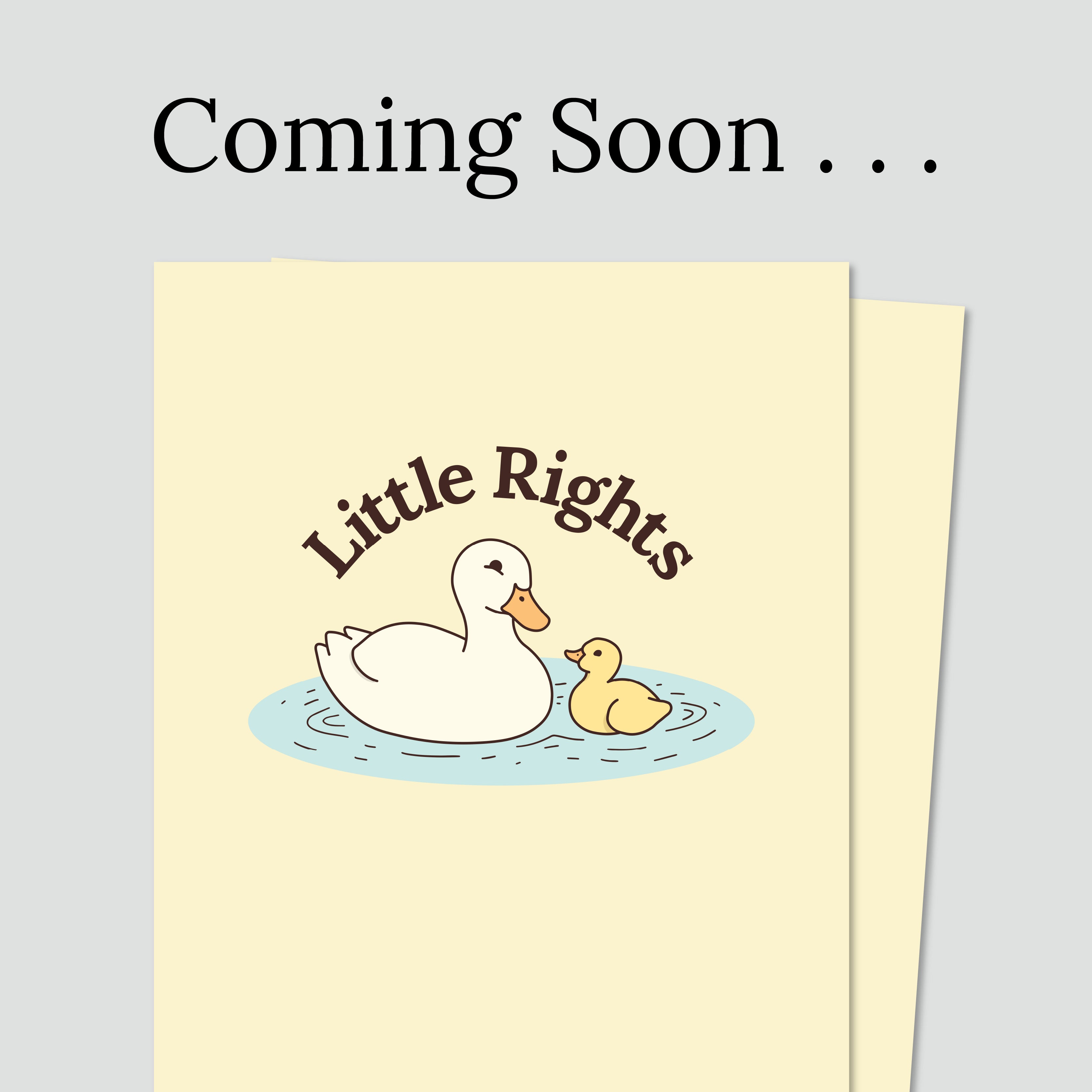 Coming Soon: My 8 Rights Over My Data Privacy—Lesson Plan and Discussion